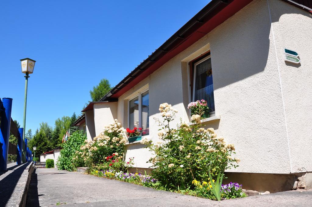 Ferienanlage Reinsberger Dorf Plaue  Oda fotoğraf